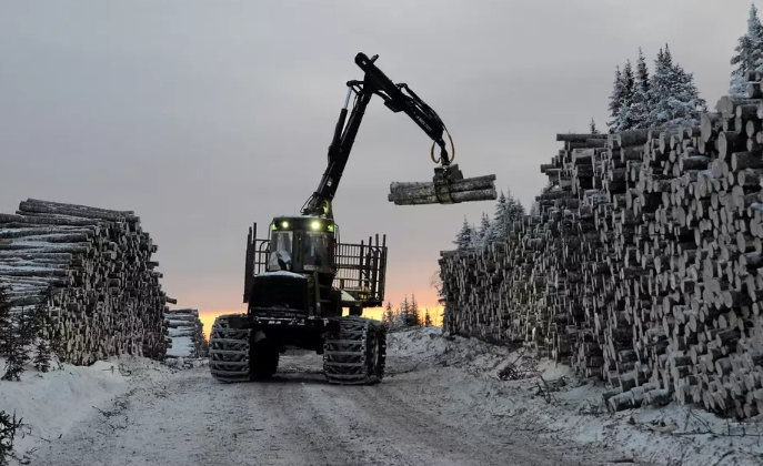 forest machines in Сanada