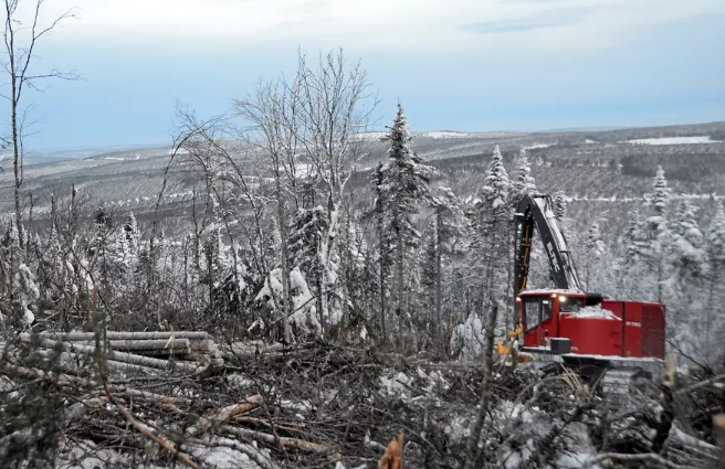 forest machines in Сanada