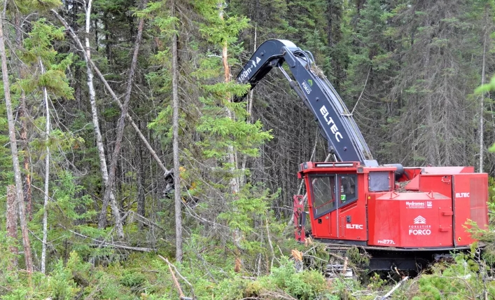 forest machines in Сanada