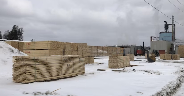 The sawmill of the Petit Paris Forestry Cooperative is located in Saint-Ludger-de-Milot, in Lac-Saint-Jean